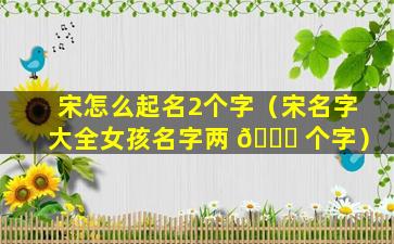 宋怎么起名2个字（宋名字大全女孩名字两 🕊 个字）